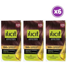 Pack 06 Elicit Tinte Para Pelo Color Guinda 6.66 45 G 6.66 Guinda